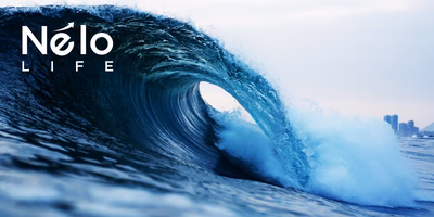 Let's Make Waves 5分钟专业概述视频
