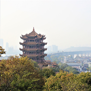 底部图片
